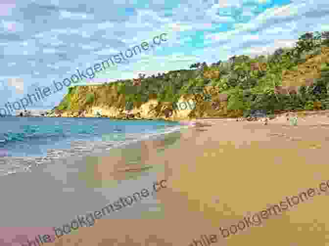 A Breathtaking View Of Punta Borinquen's Pristine Beach, With Turquoise Waters, White Sands, And Lush Palm Trees Swaying In The Gentle Breeze The Island Hopping Digital Guide To Puerto Rico Part IV The North Coast: Including Punta Borinquen Arecibo Puerto Palmas Atlas San Juan And Old San Juan