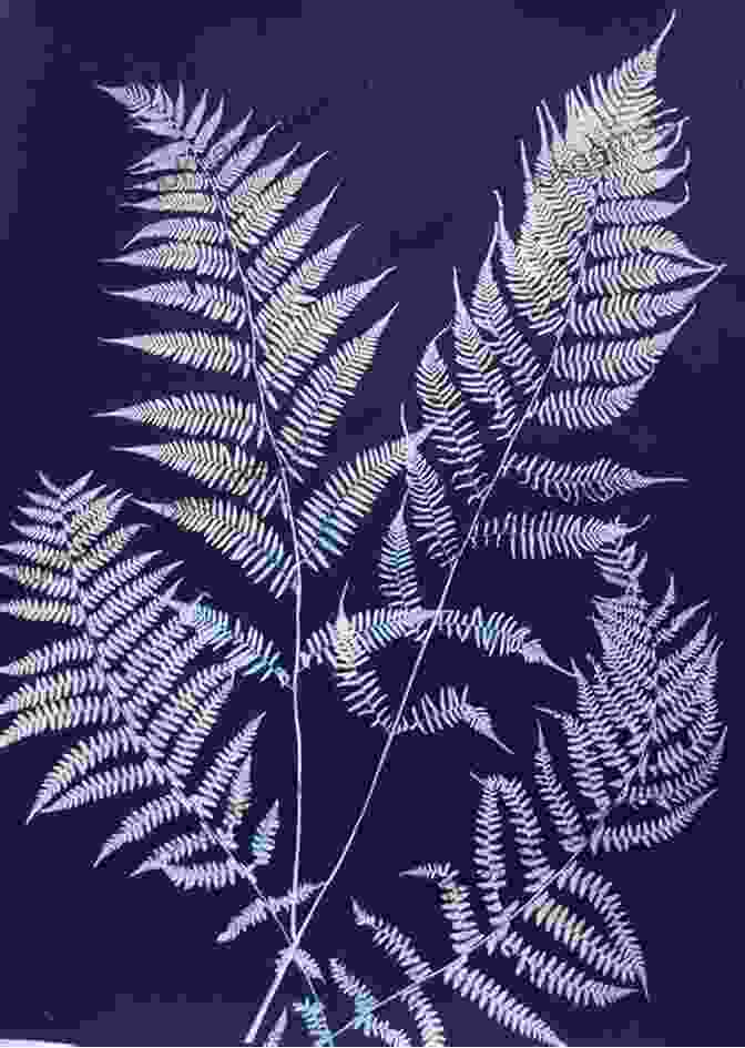 A Cyanotype Print Of A Fern Leaf The Art Of Printing From Nature: A Guidebook From The Nature Printing Society 40th Anniversary Edition: 2024