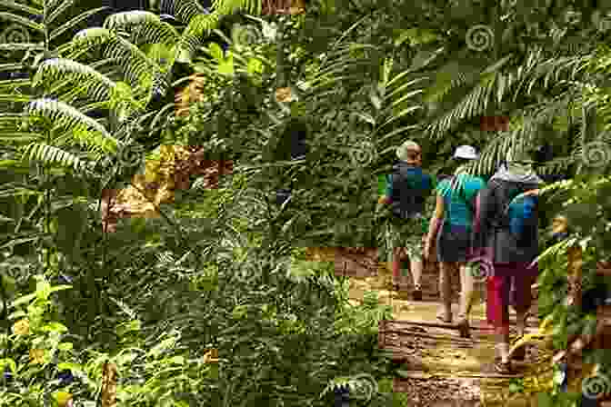 A Group Of Trekkers Hiking Through A Dense Jungle In The Golden Triangle Chasing The Dragon: Into The Heart Of The Golden Triangle