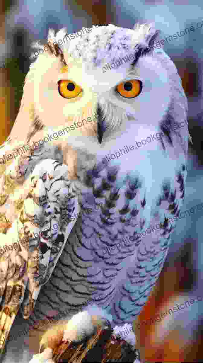 A Majestic Snowy Owl With Piercing Yellow Eyes And White Plumage A Children S Guide To Arctic Birds