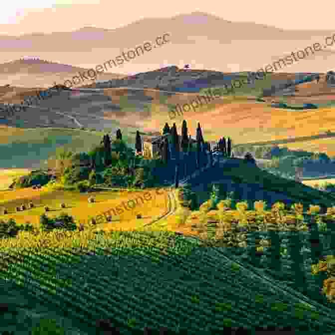 A Panoramic View Of A Vineyard In Tuscany, Italy. Gone With The Wine: Living The Dream In France S Loire Valley