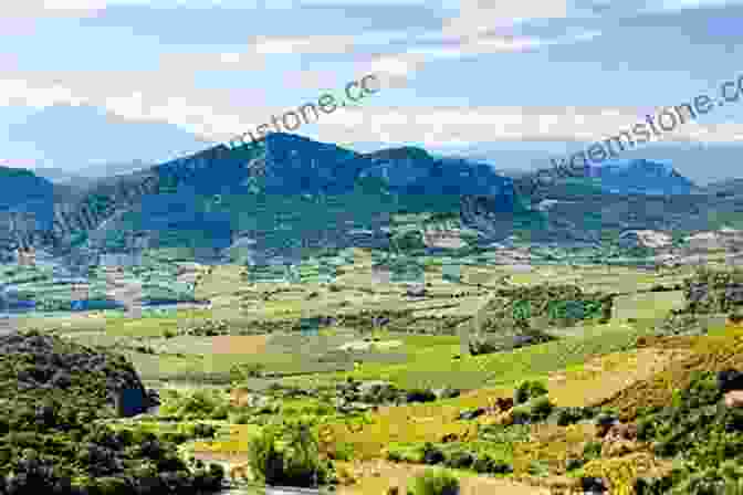 A Panoramic View Of The Stunning Landscape Of Languedoc Roussillon, France The Rough Guide To Languedoc Roussillon (Travel Guide EBook)