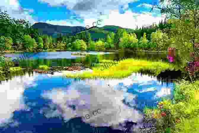 A Serene Lake Surrounded By Lush Greenery, Its Crystal Clear Waters Reflecting The Blue Sky And White Clouds Above. My Mother Is Now Earth