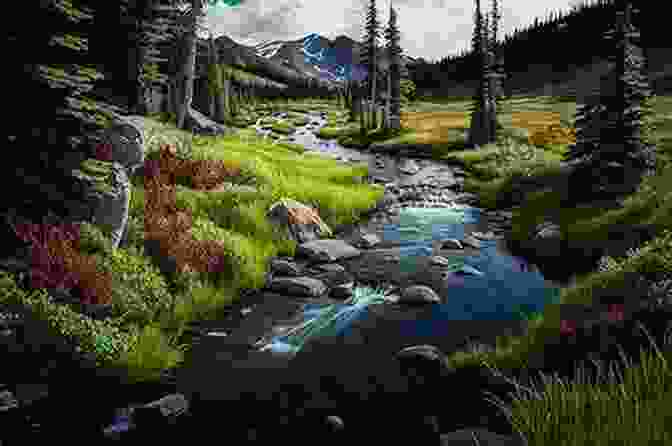 A Tranquil Meadow With Lush Grass, Wildflowers, And A Babbling Brook, Creating A Sense Of Peace And Tranquility Arcane Kingdom Online: The World Outside (A LitRPG Adventure 7)