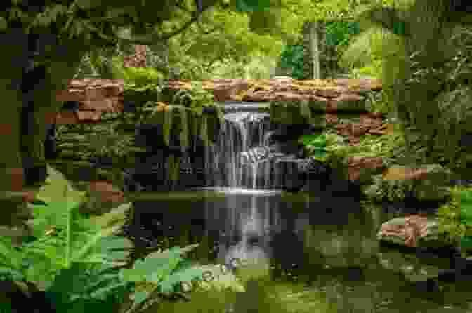 Nicole Falls, A Cascading Waterfall Surrounded By Lush Greenery Release Some Tension Nicole Falls