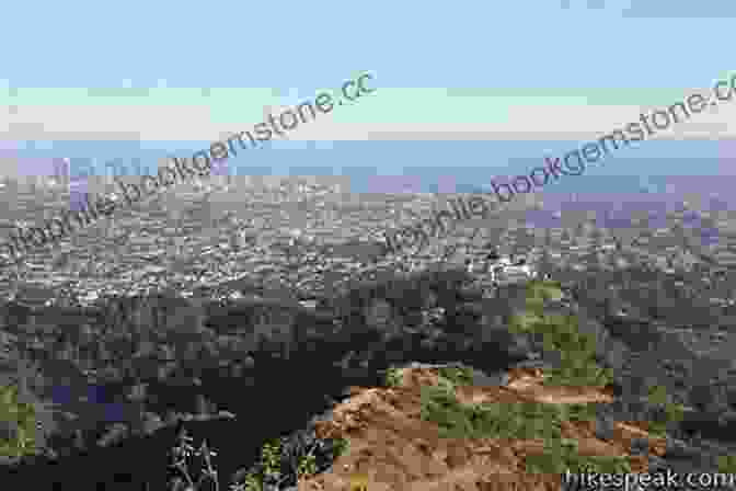 The Panoramic View From Mount Hollywood In Griffith Park In Love With A Los Angeles Don 2: An Urban Romance