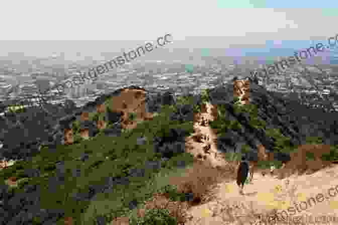 The Panoramic Views From Cahuenga Peak In Runyon Canyon Park In Love With A Los Angeles Don 2: An Urban Romance