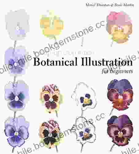 Botanical Illustration For Beginners: A Step By Step Guide