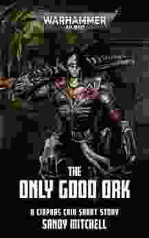 The Only Good Ork (Warhammer 40 000)