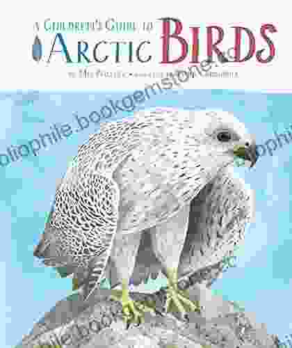 A Children S Guide To Arctic Birds