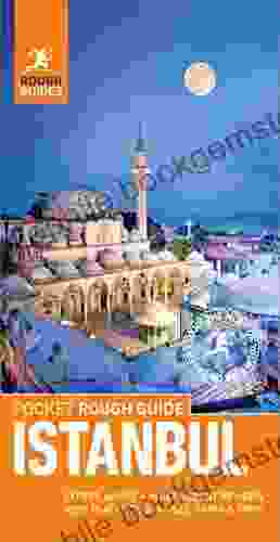 Pocket Rough Guide Istanbul (Travel Guide EBook): (Travel Guide With Free EBook) (Rough Guides Pocket)